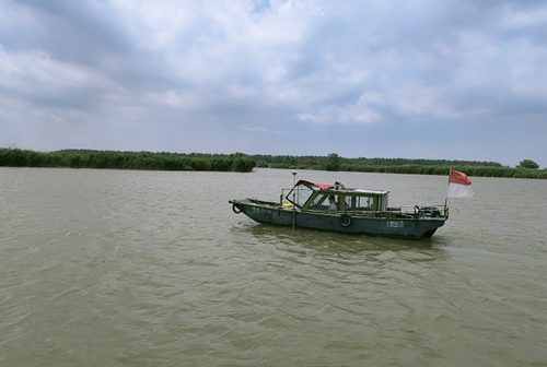 1656055853446080632-original.png image005_副本.png