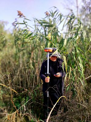 1669366052068045140-original.jpg 在芦苇中穿梭_副本.jpg