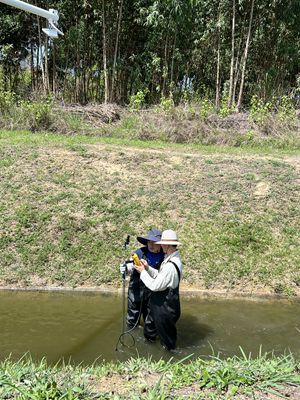 1749025149919081813-original.jpg 23e1db3285317309e4b581699b5fb1d3__副本.jpg